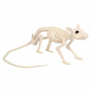 Szkielet szczura-46cm