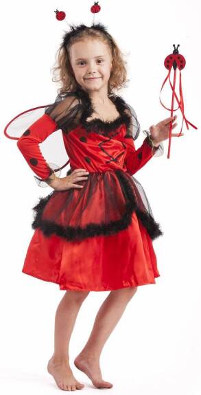 Strój Biedronka ze skrzydełkami / 110-116