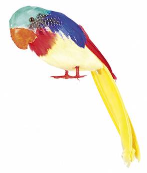 Papuga Z Piór 30Cm
