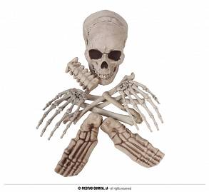 Worek 12 kości Szkielet