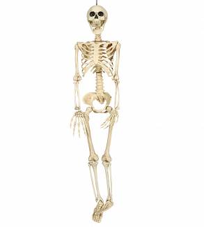 Dekoracja szkielet 90 cm 