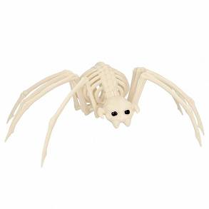 Szkielet pająka-35cm